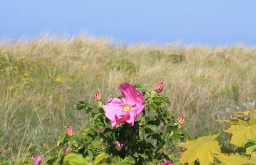 Ferienhaus in der Naehe der Ostsee - Foto 49
