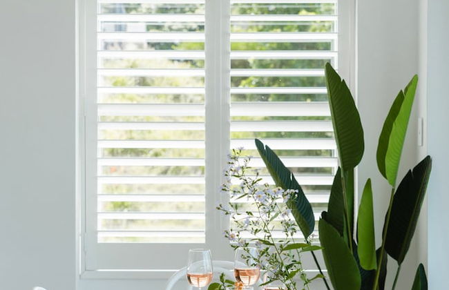 Palm View Collective - Foto 52