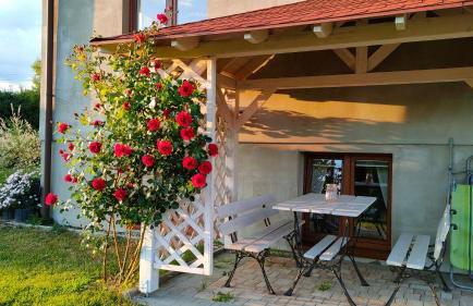 Blisko Lasu - Foto 10