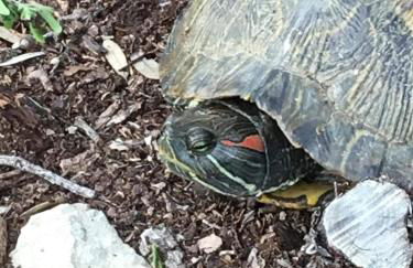 Fishers Of Men Ranch Home - Photo 30