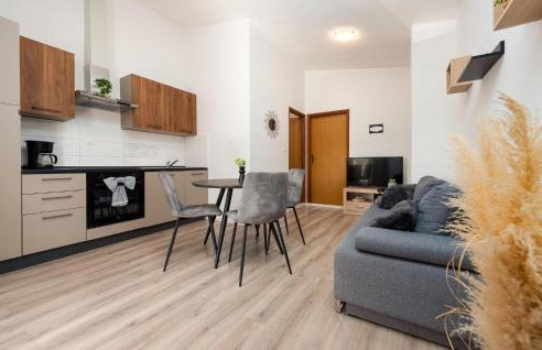 One-Bedroom Apartment In Podgradina - Photo 3