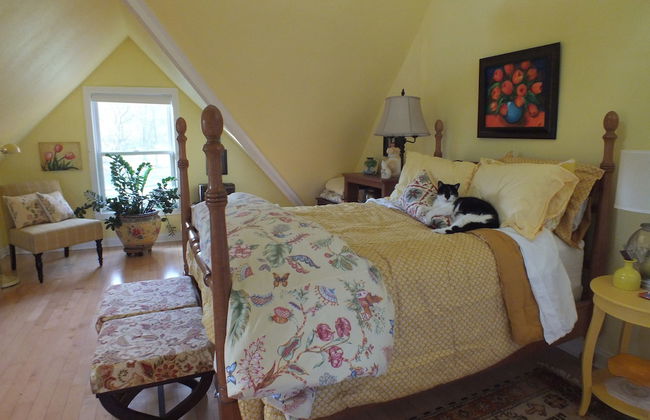 Montrose Farms Alpaca Ranch - Foto 6