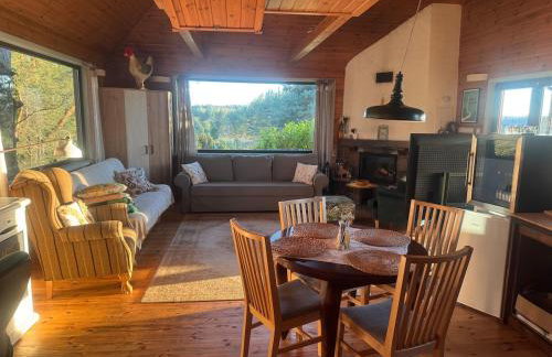 wietrznie-wichrowe wzgórze - Foto 38