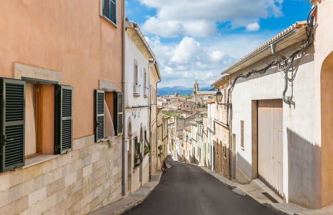 Son Rossinyol in Llub - Foto 7