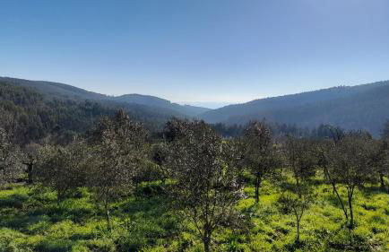 Villa Leonardo - Foto 52