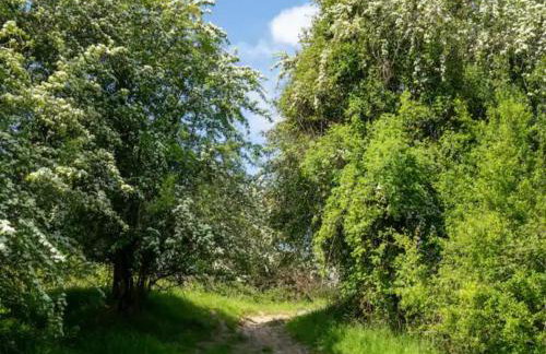 Converted 17th century barn with garden parking - Pass the Keys - Foto 31