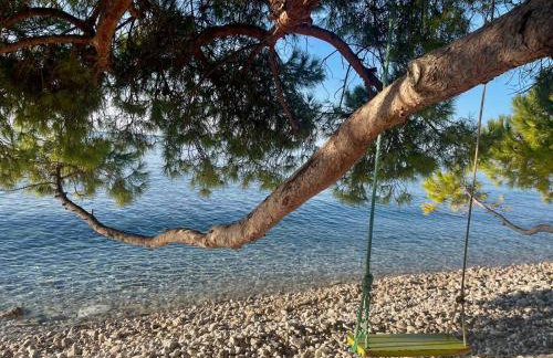 Apartman Mare - Foto 20