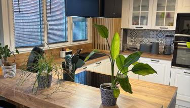 Loft Opale - Photo 3