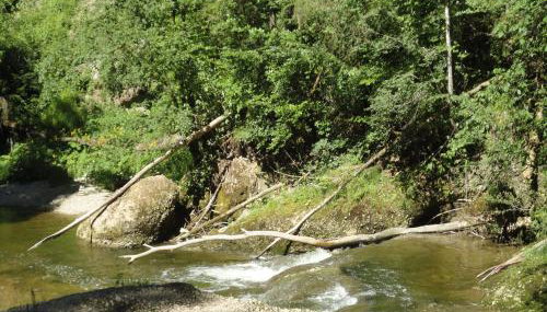 Ferienwohnung Lore - Foto 2