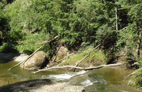 Ferienwohnung Lore - Photo 2