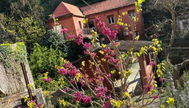 Villa Mare & Monti - Photo 3
