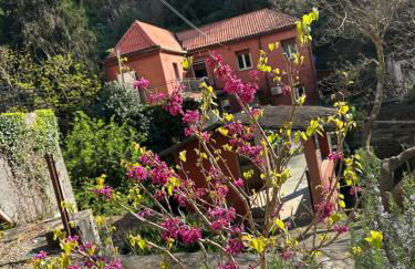 Villa Mare & Monti - Photo 3