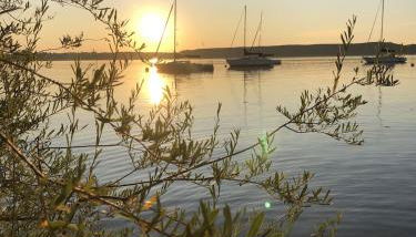 Haus Seefried Buch am Ammersee - Foto 5