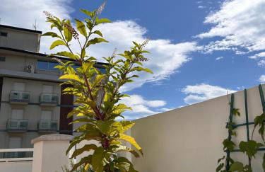 Residence Siesta - Foto 34