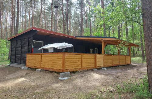 Ferienhaus im Wald Mecklenburgische Seenplatte - Foto 10