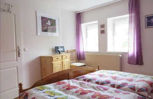 Petit Papillon - Foto 9