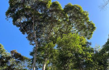 Casa 09 Floresta Boa Vista - Piscina Privativa, Jardim e Lazer Completo - Photo 43