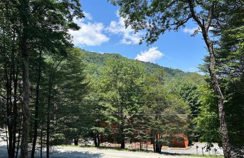 Beech Mountain Walk to Slopes Sleeps 9 Pet Friendly - Foto 22