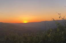 Quintinha de Pinouco - Foto 47