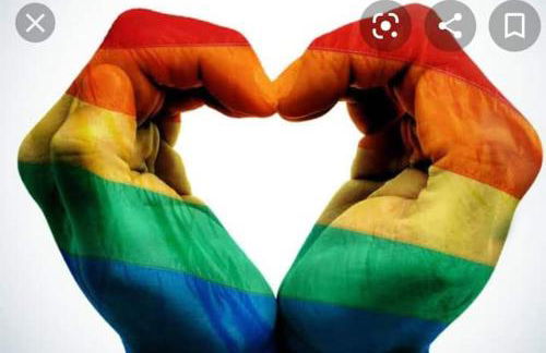 chaler Sao Jorge - Foto 25