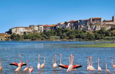 La Maison CANTHEZ Wifi - Foto 57