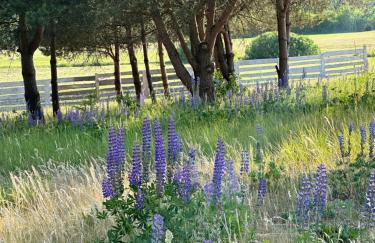 Giżycko-Przerwanki Domki Widok na Mazury - Foto 70