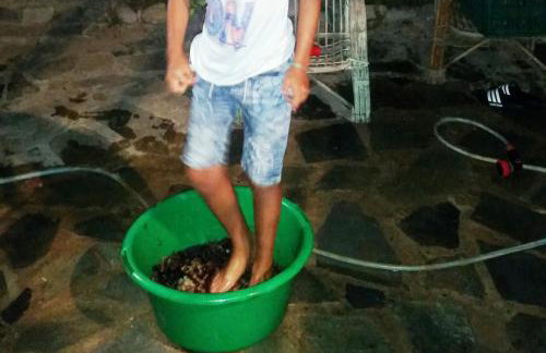 Alexandra Homestay - Foto 59