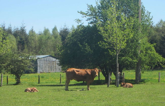 Peaceful Retreat in Ferrieres - Foto 28