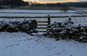 The Vogue Lodge - Photo 23