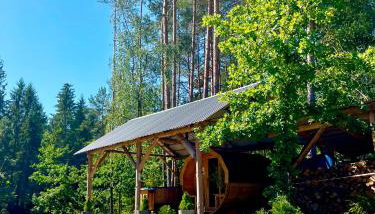 Świętokrzyskie Zacisze - Foto 4, Garden