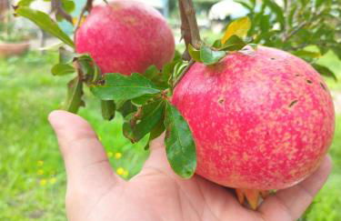 Narniandum Est Locazione Turistica - Foto 70