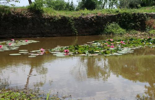 Apartment Teo-2 by Interhome - Foto 37