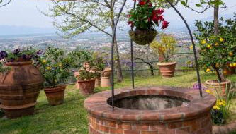 Poggio Leporaia - Photo 1, Garden view