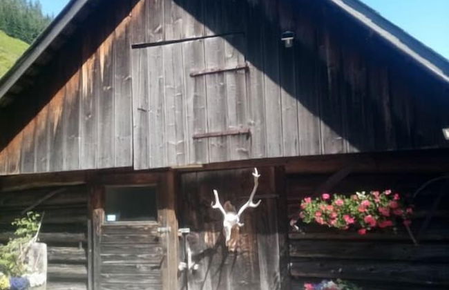 Schmiedalm - Foto 14