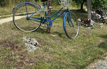 Kuća za odmor Ema - Foto 14