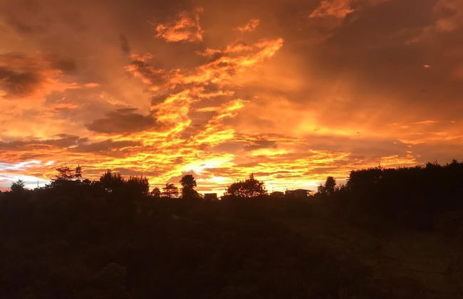 finca hotel zona 7 - Foto 72