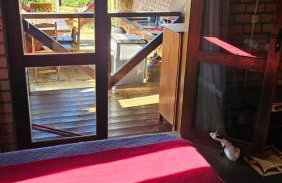 Chalé Serra dos Matões 08 - Pedro II - Foto 4