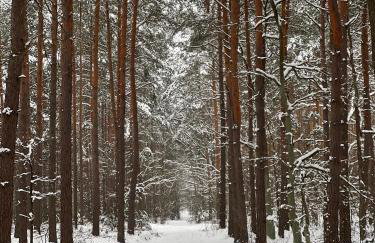 Dom na Cuplu - Foto 61