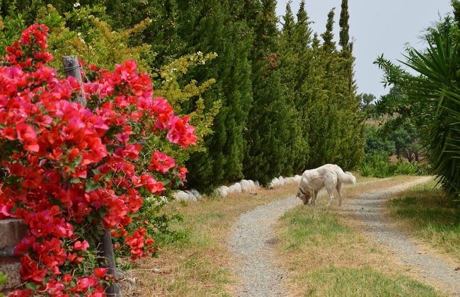 agriturismo borgo piazza - Photo 66