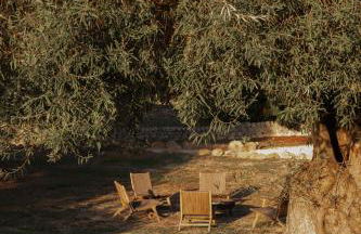 IUTA Glamping & Farm - Foto 150