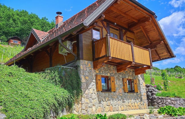 Vineyard cottage Kralj - Foto 17