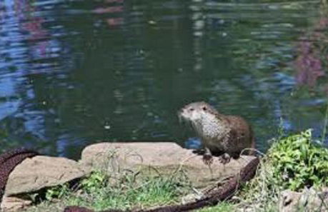 Casa Cervo Artes - Foto 32