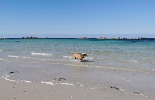 Das Haus auf der Düne - Foto 20