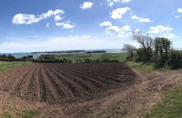 Little Mead - Foto 19