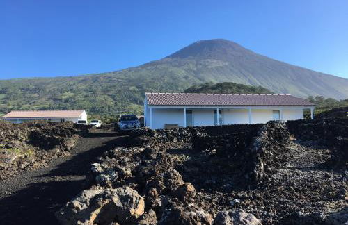 Insula Vinus Apartments - Photo 8