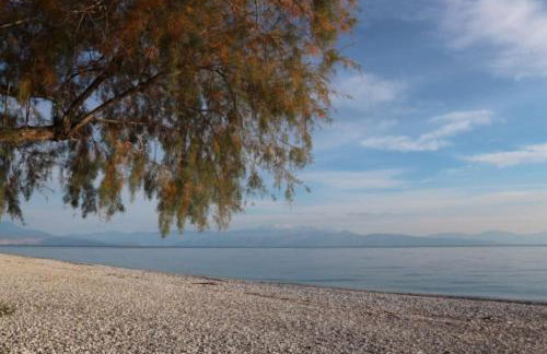 Anestis Apartment - Foto 25