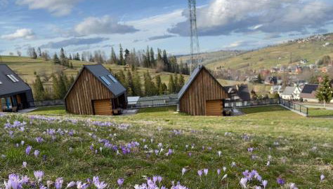 Bystre DOMKI 2 - Foto 2