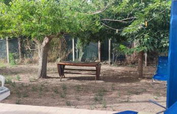 Aloha Sicily - Foto 25