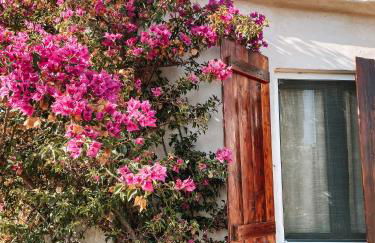 Villa Gladyr - Foto 48