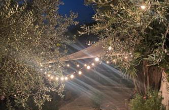 Tenuta Buonocore - Foto 17